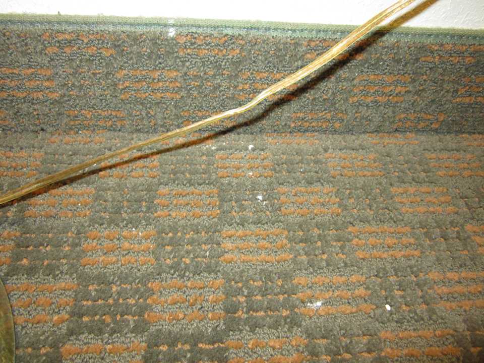 Zimmer Hotel Lake Tarpon Resort