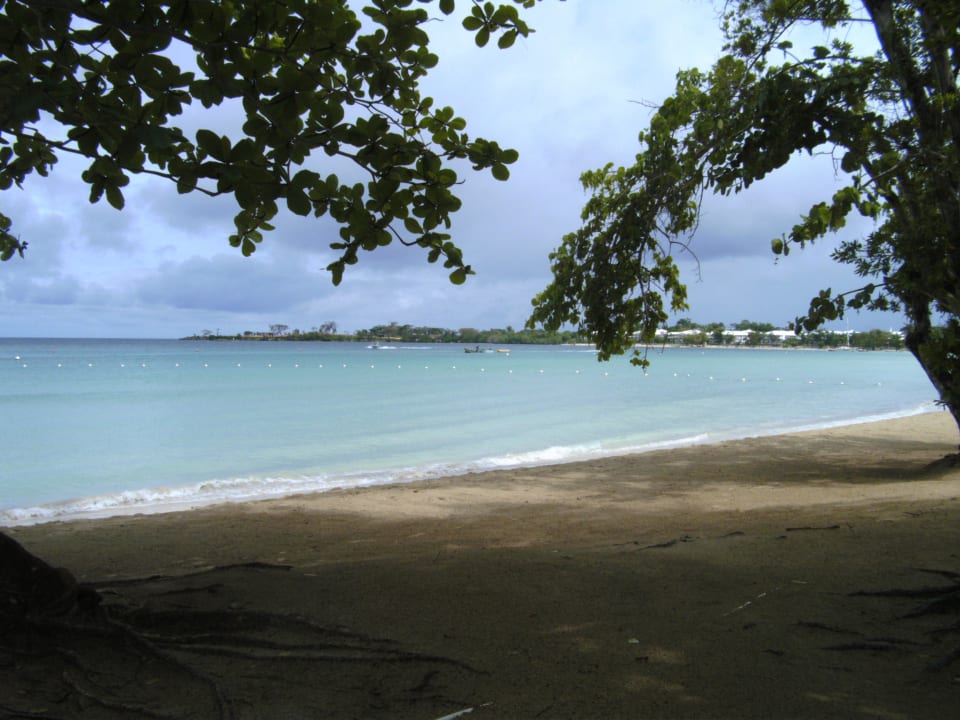 Strand Sunset at the Palms Resort - Adults Only