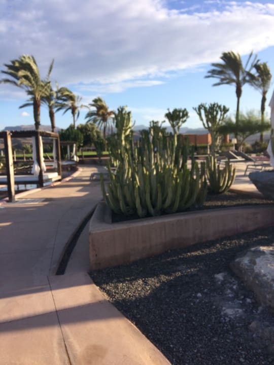 Gartenanlage Salobre Hotel Resort & Serenity