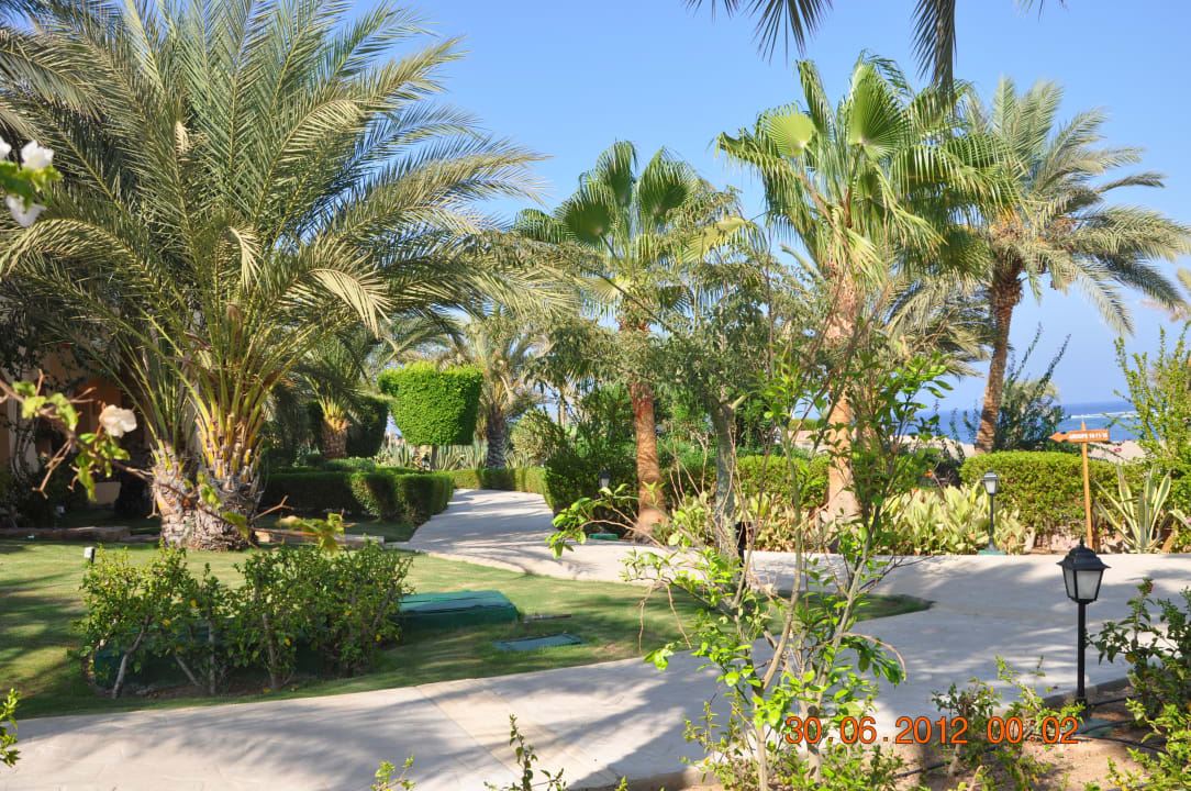 Gartenanlage Steigenberger Coraya Beach - Adults only