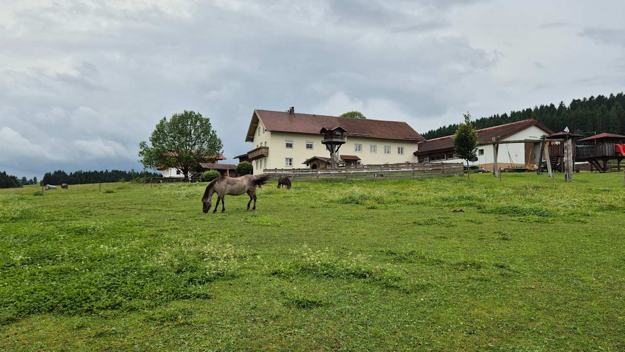 Ausblick Familienferienhof Wenighof