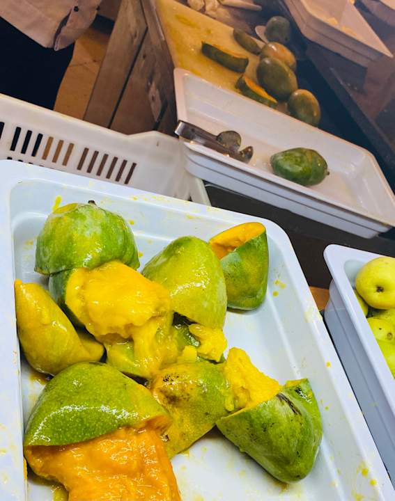 Gastro Stella Garden Resort & Spa, Makadi Bay