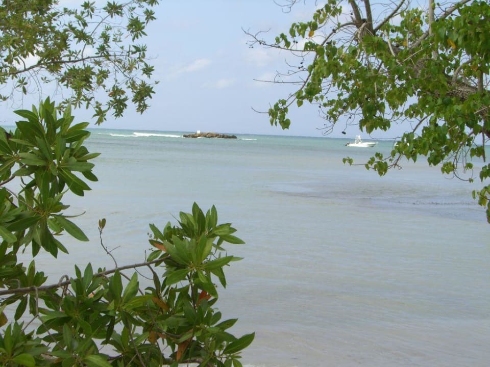 Der Strand Hotel Riu Negril