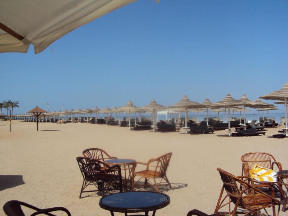 Бар на пляже. Вид на пляж Regency Plaza Aqua Park & Spa