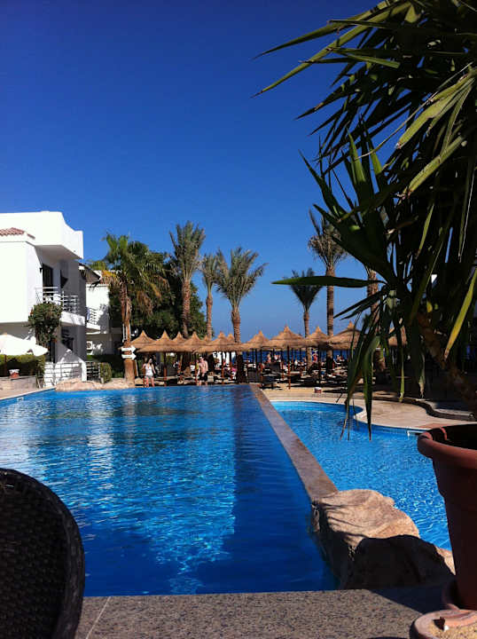 Pool Richtung Strand Seagull Beach Resort