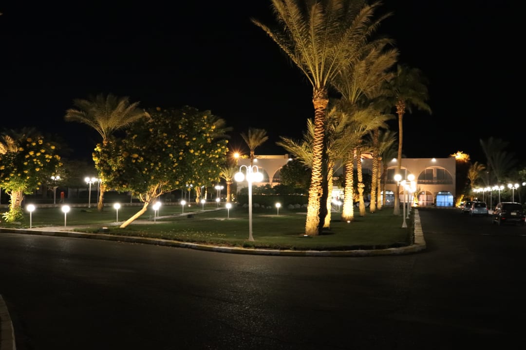 Gartenanlage Desert Rose