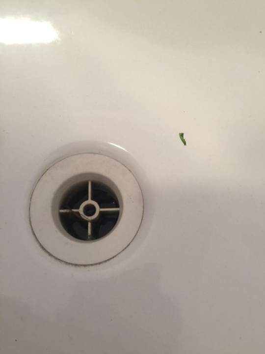 Zimmer Villa Ostseeland FeWo