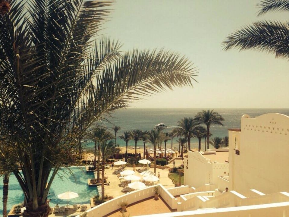 Anlage Hotel Continental Garden Reef Resort