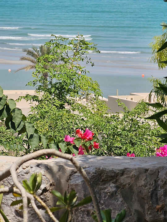 Ausblick The Cove Rotana Resort