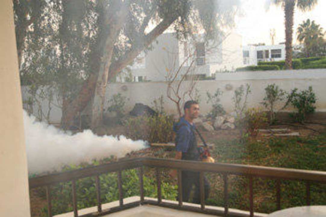 Tägliche Schädlingsbekämpfung am Abend Ghazala Beach