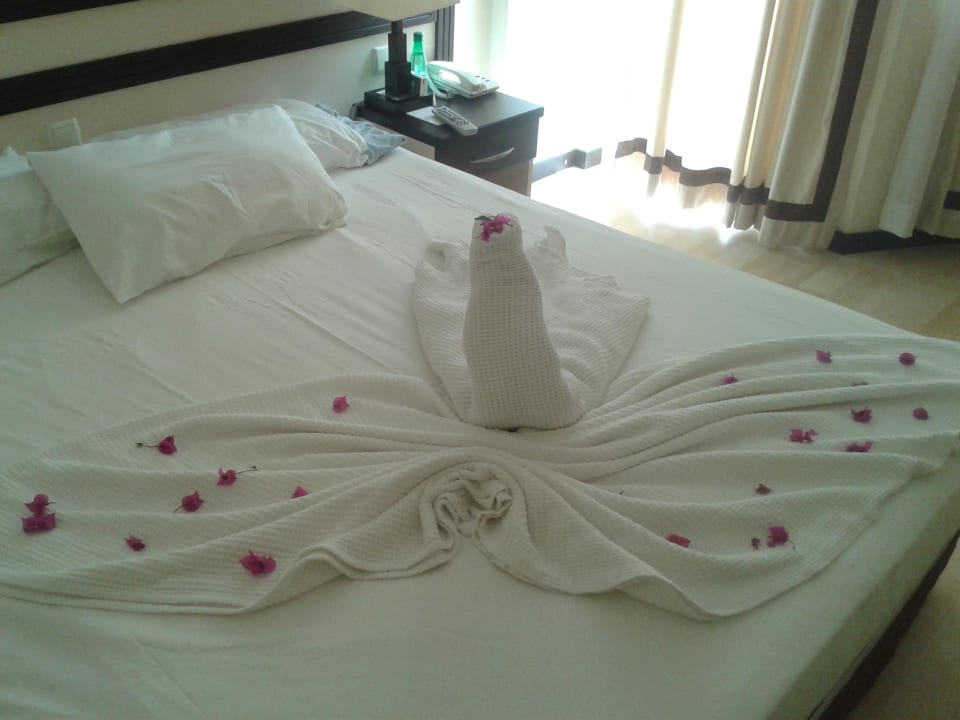 Zimmer Hotel Orfeus Park