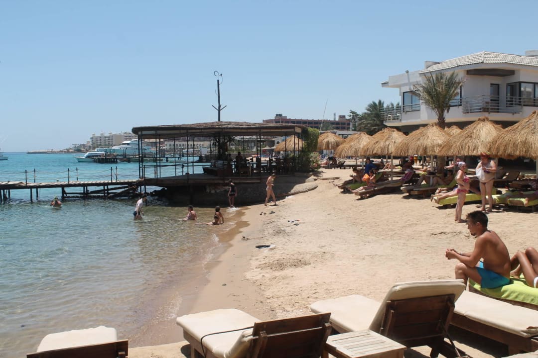 Plaża w Premium Seagull Beach Resort