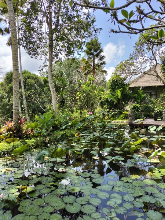 Gartenanlage Hotel Tjampuhan