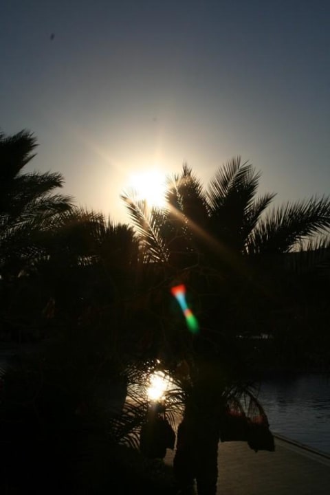 Sonnenaufgang Palm Beach Resort