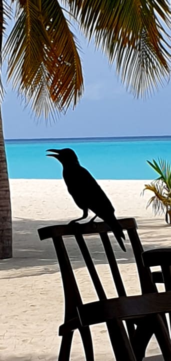 Sonstiges Hondaafushi Island Resort