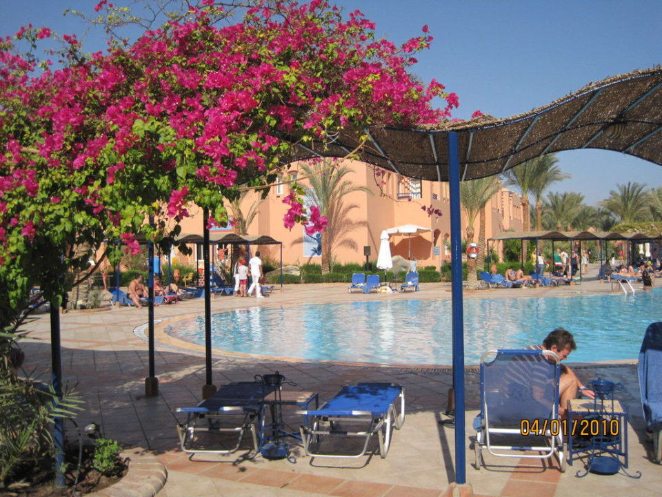 Großer Pool Jaz Makadi Oasis Resort