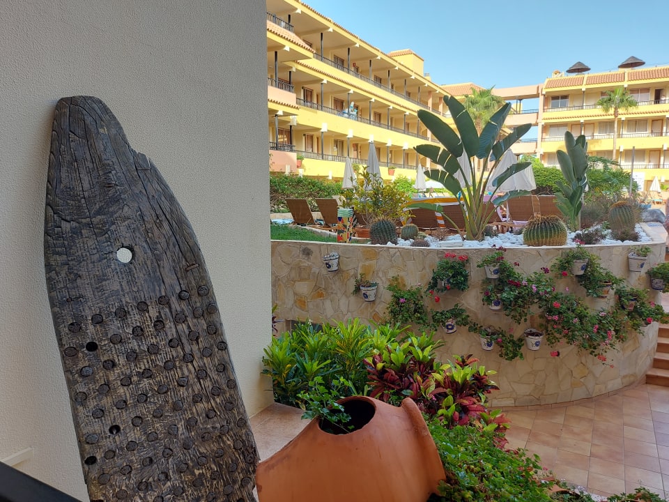 Gartenanlage HOVIMA Jardin Caleta