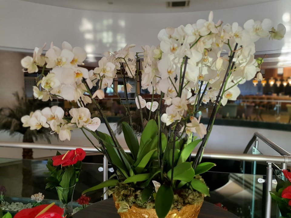 Sonstiges Sunis Kumköy Beach Resort Hotel & Spa
