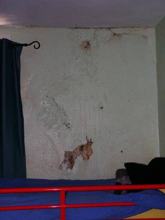 Schimmel St.Christophers London Greenwich