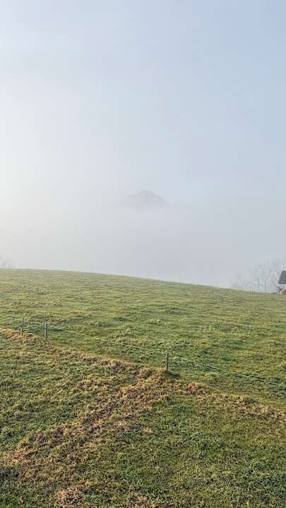 Ausblick Fuchsbauernhof