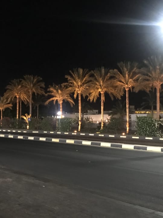 Sonstiges Pickalbatros Dana Beach Resort - Hurghada