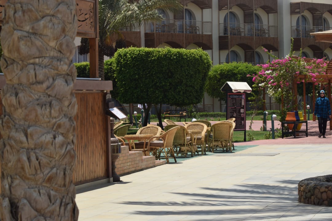 Gartenanlage Desert Rose