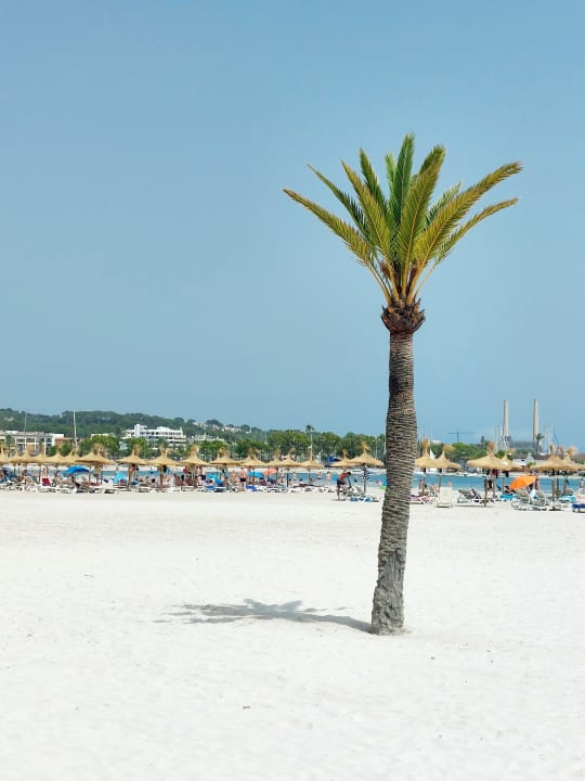 Strand Alcudia Garden Aparthotel