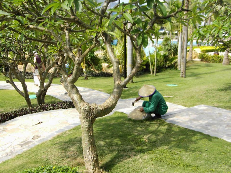 Das Resort Intime Hotel Resort Intime