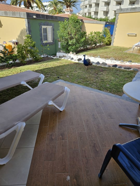 Zimmer HL Miraflor Suites Hotel