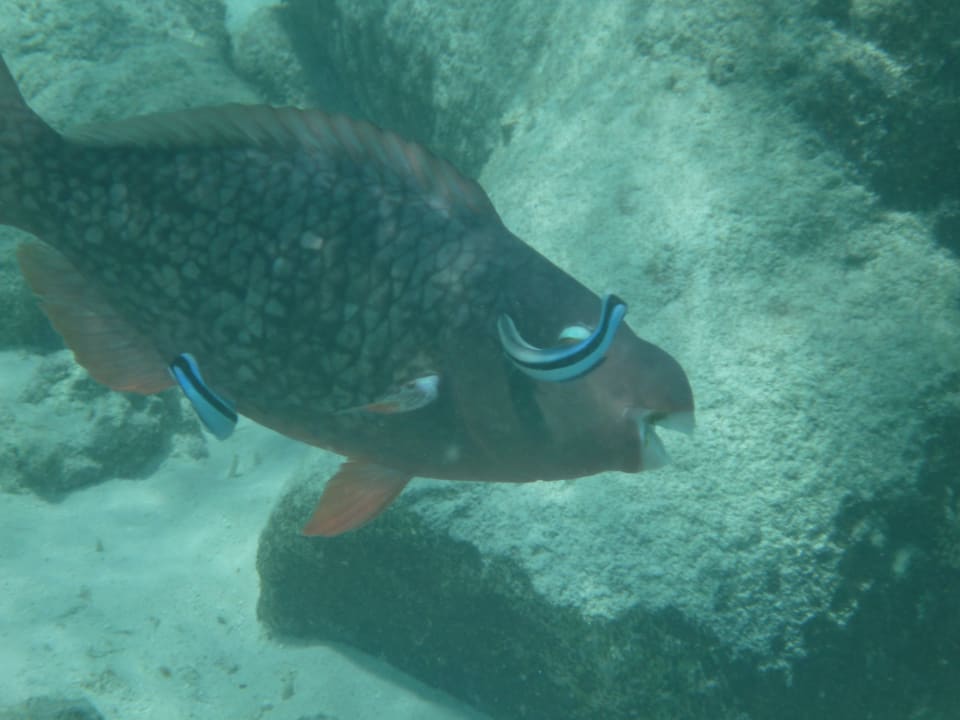 Sonstiges Summer Island Maldives