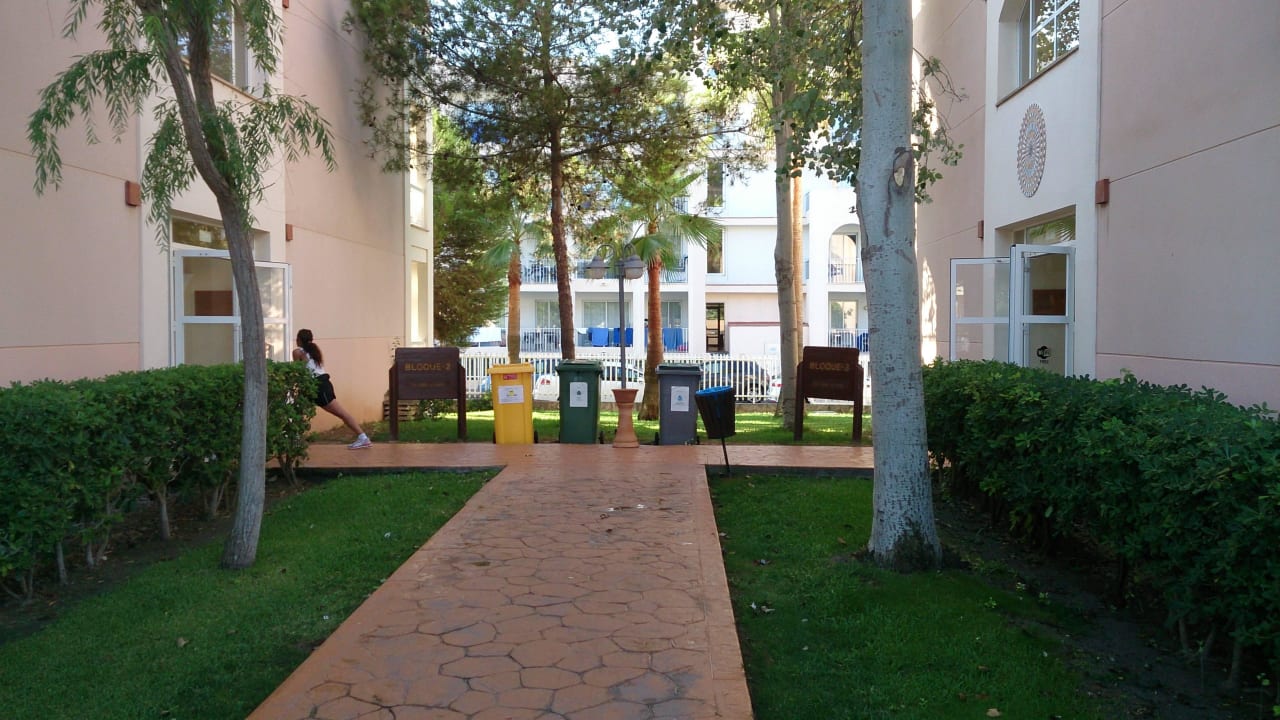 Was für ein Anblick! Auf Mülltonnen? Playa Garden Selection Hotel & Spa