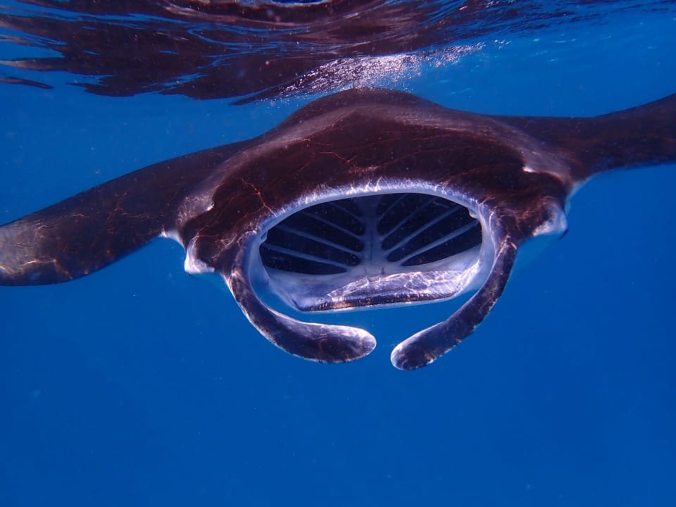 Sport & Freizeit NH Collection Maldives Reethi Resort