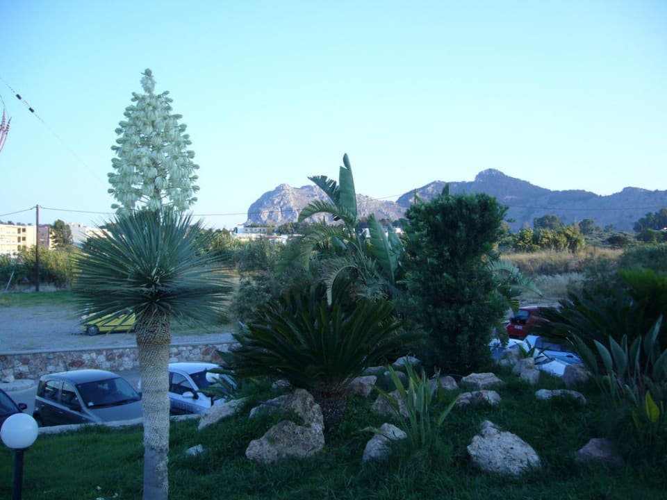 Ausblick vom Hotel Richtung Kolymbia Atlantica Mikri Poli Rhodes