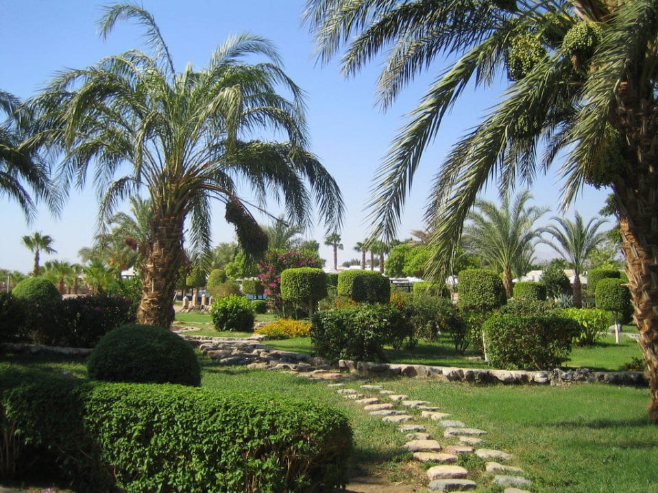 Gartenanlage Lotus Bay Beach Resort