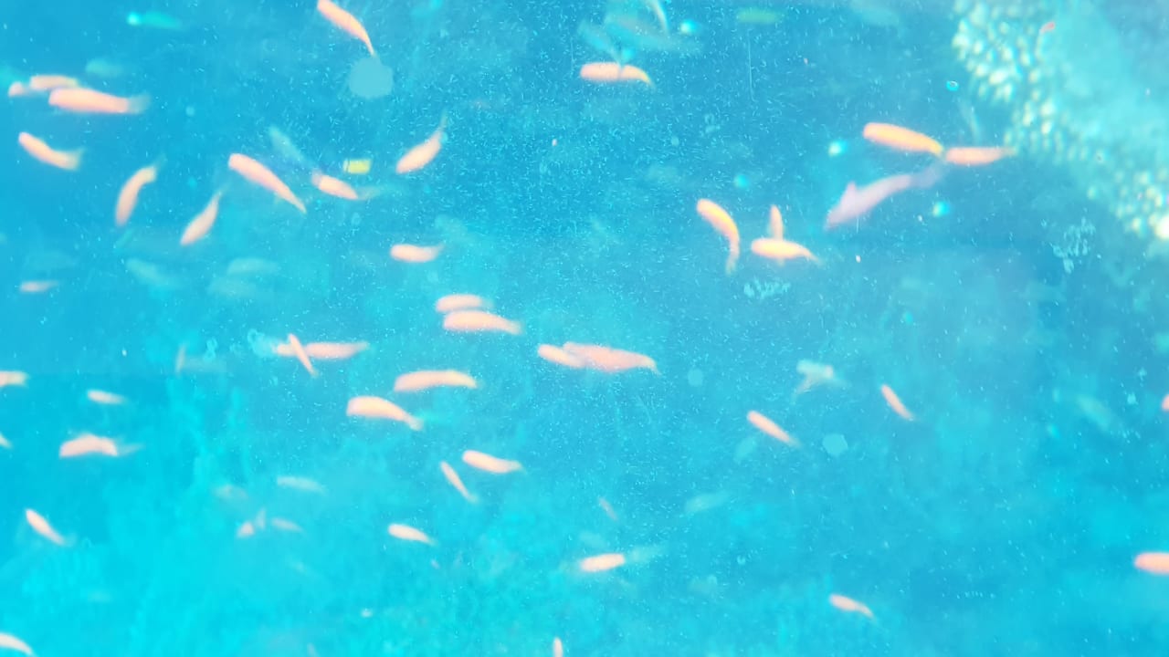 Sport & Freizeit Baron Palace Sahl Hasheesh