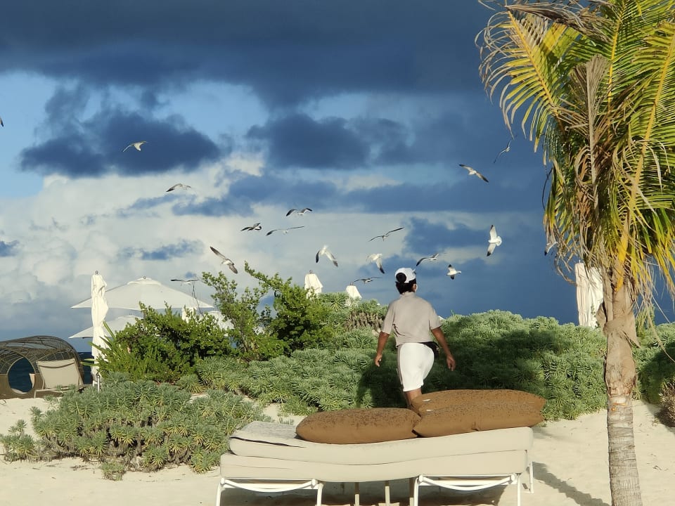 Ausblick TRS Coral Hotel - Adults Only