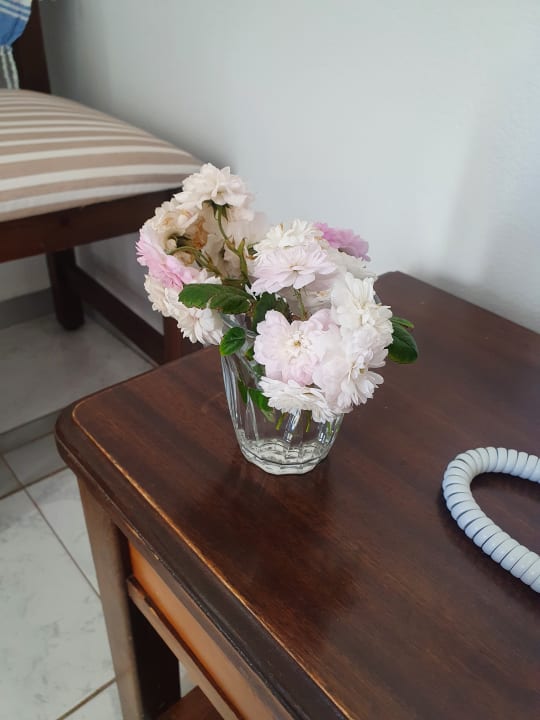 Zimmer Hotel Pal Beach