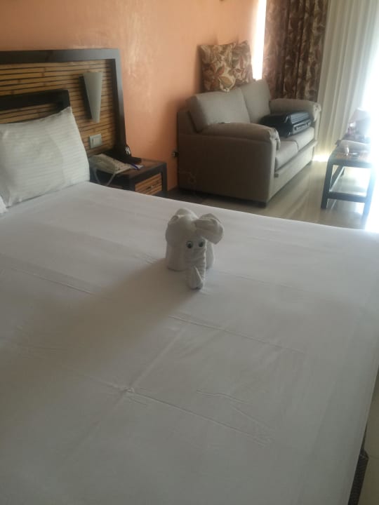 Elefant Sandos Playacar Beach Resort