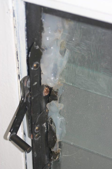 Bad HARPIN Happy Days Beach Hotel