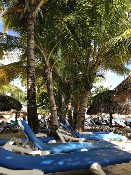 Strand Bahia Principe Grand El Portillo