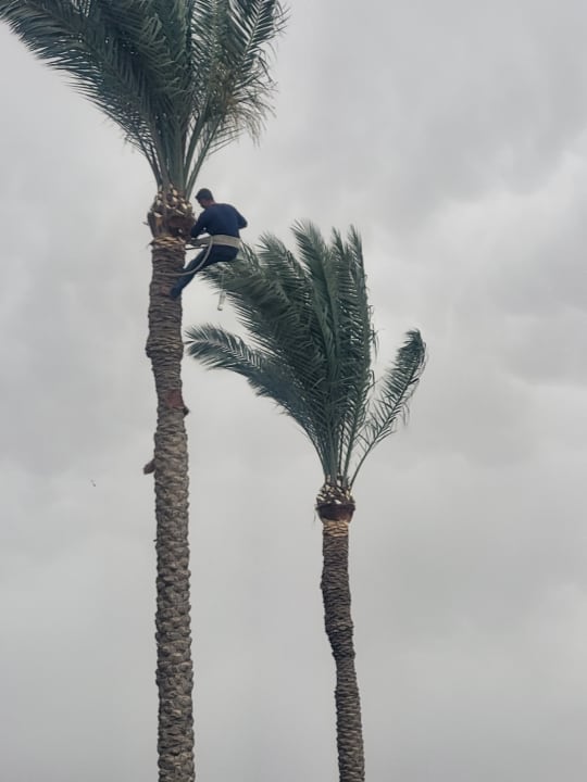 Gartenanlage Jaz Makadi Oasis Resort