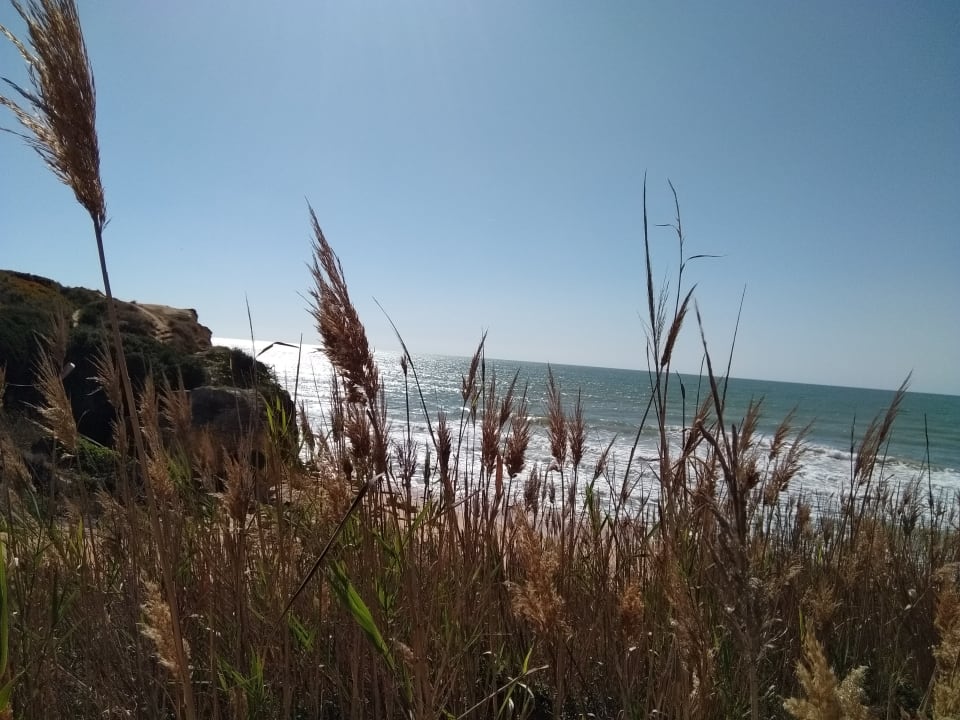 Strand PortoBay Falésia