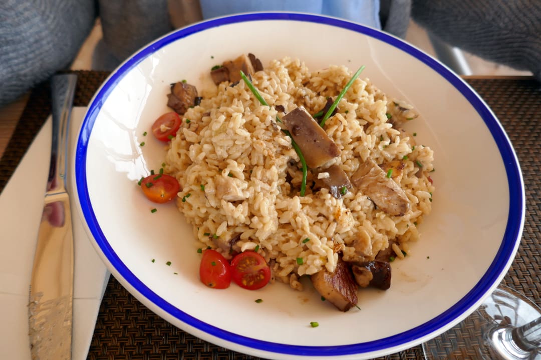 Gastro Sentido Fido Punta del Mar – Adults only