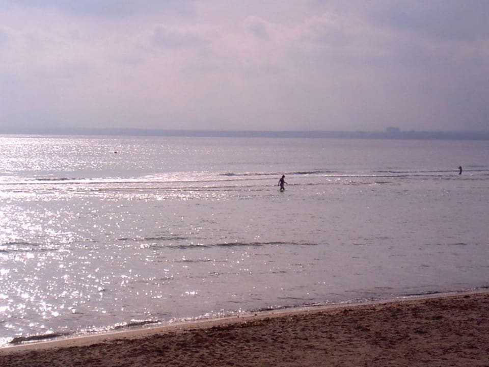 Strand Alcudia Garden Aparthotel