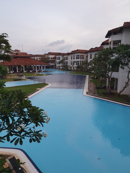 Pool Club Hotel Dolphin