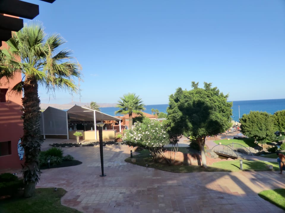 Schön beplfanzte Anlage H10 Tindaya