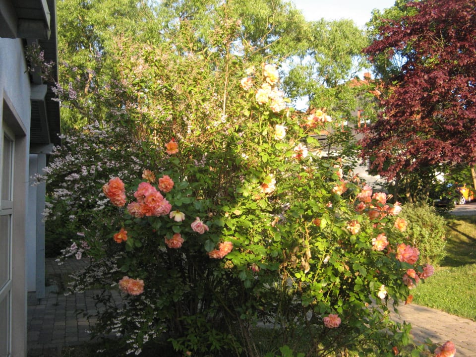Vor dem Reihenhauseingang Hasseröder Ferienpark