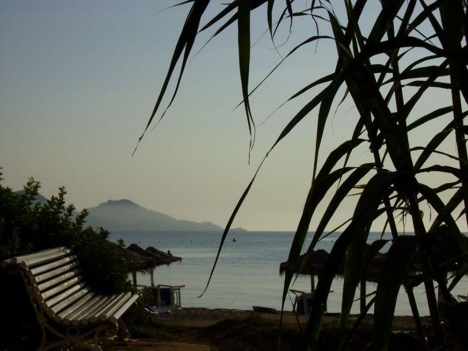 Strand am Morgen Playa Esperanza Resort