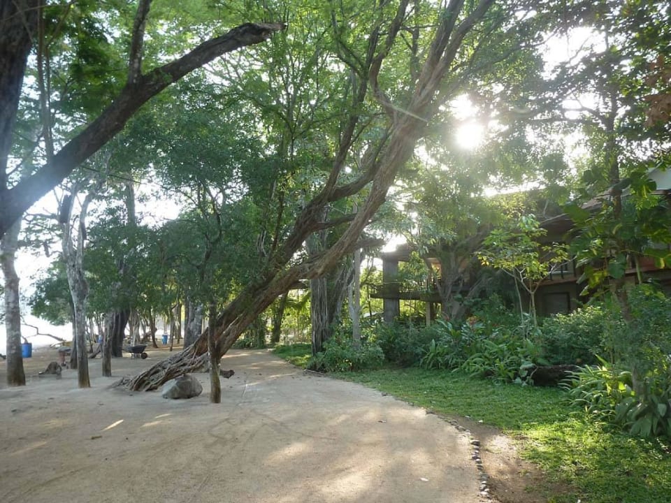 Der Hotelstrand Hotel Bosque del Mar