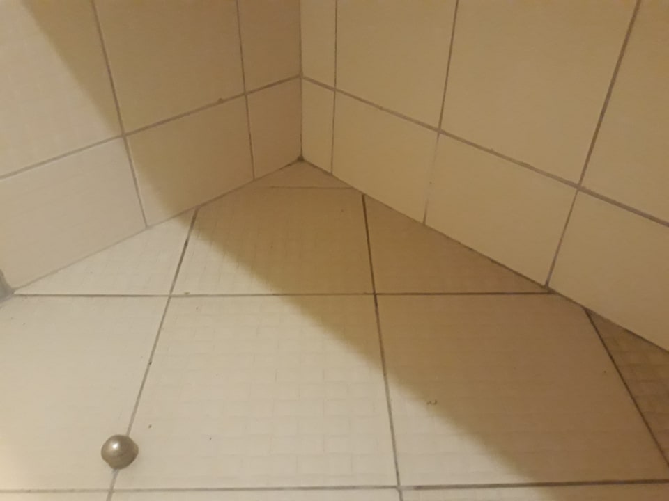 Zimmer Starlight Resort Hotel